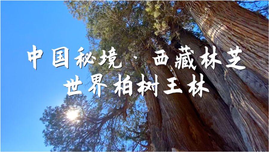 别人欠我一万五千块钱老是不还我怎么办?-专业知识问答网页,快速解答您的疑问